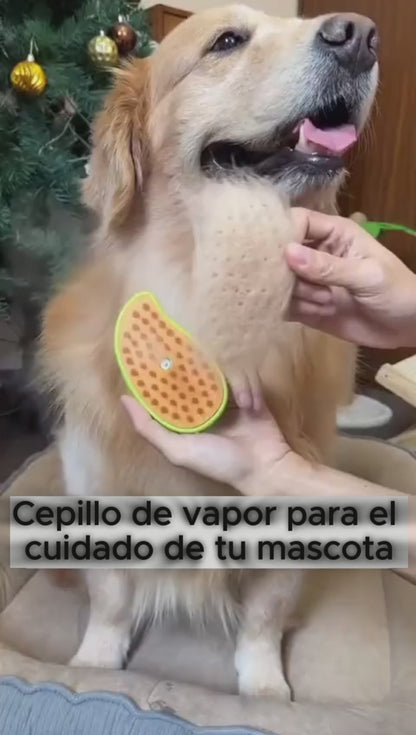 Cepillo a vapor para mascota   MFT